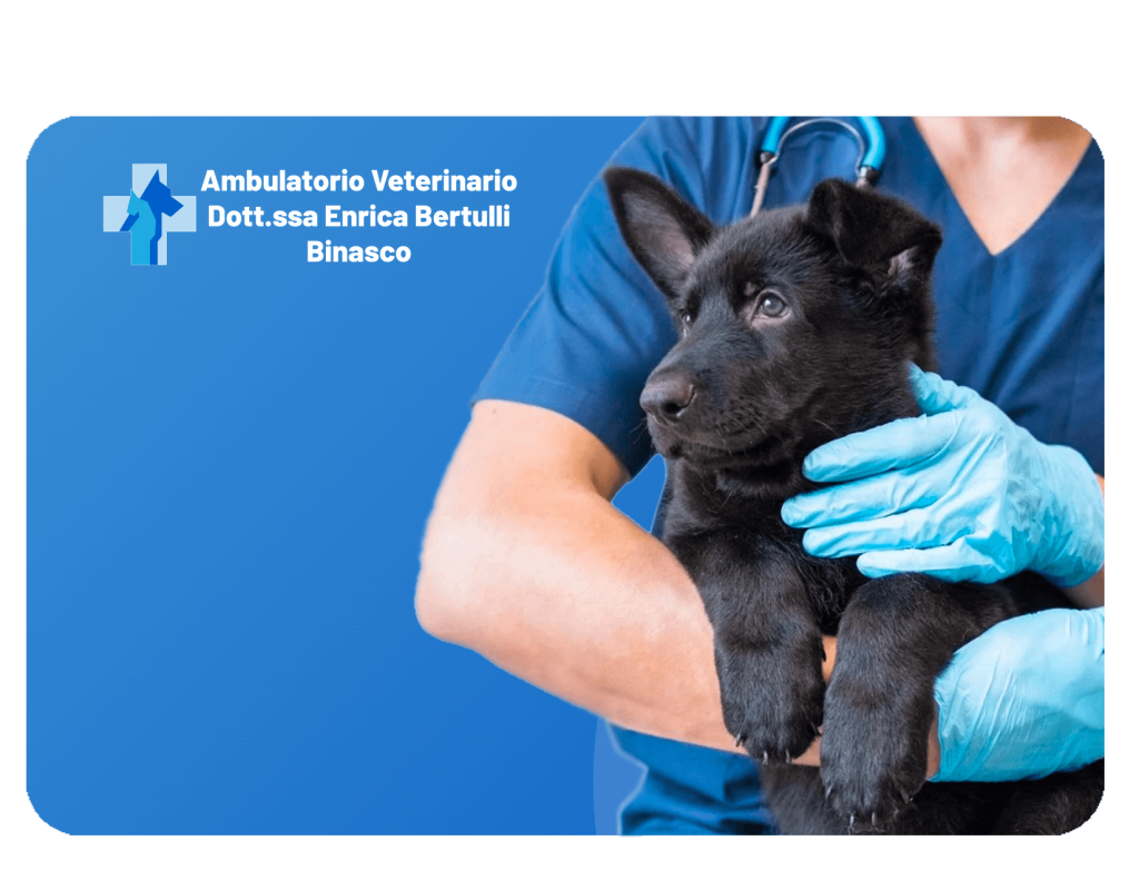 Chirurgia e Ortopedia. Ambulatorio Veterinario a Binasco - Dott.ssa Enrica Bertulli Operiamo anche a: Rozzano, Motta Visconti, Lacchiarella e Certosa di Pavia.