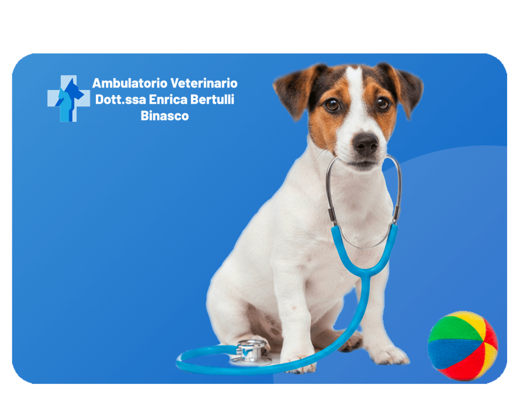 Medicina e Prevenzione. Ambulatorio Veterinario a Binasco - Dott.ssa Enrica Bertulli Operiamo anche a: Rozzano, Motta Visconti, Lacchiarella e Certosa di Pavia.